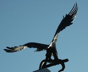 Eagle2-Palkovich1-300x246