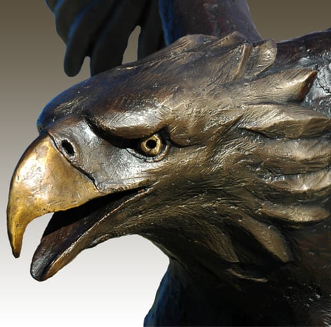 A close-up of the Eagle's head