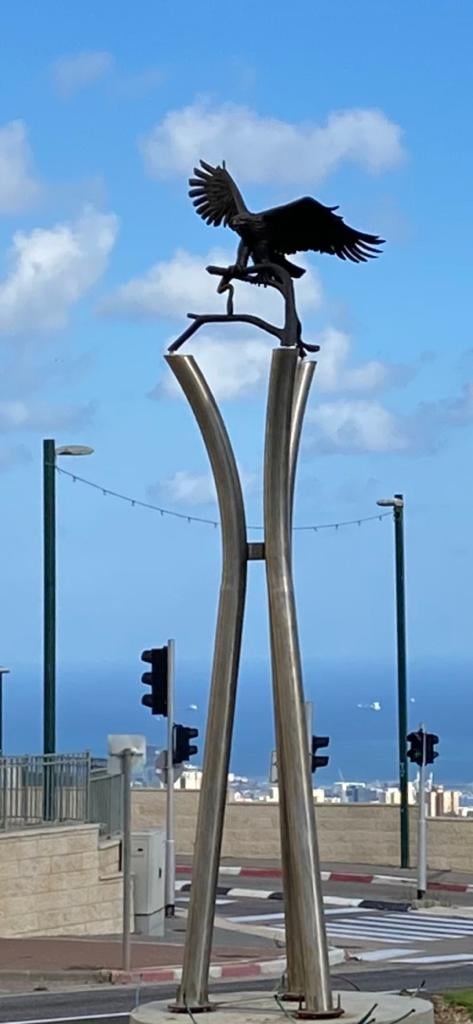 Eagle in Neshir