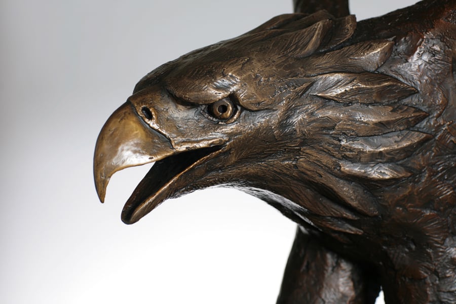 Eagle3-Palkovich