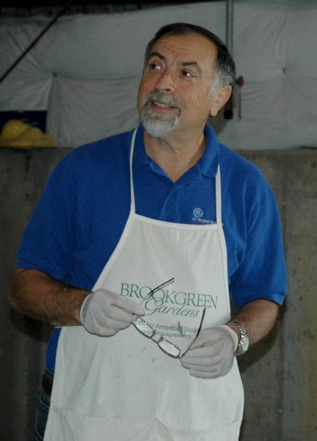 The Artist