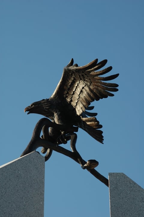 Another view of the eagle from below