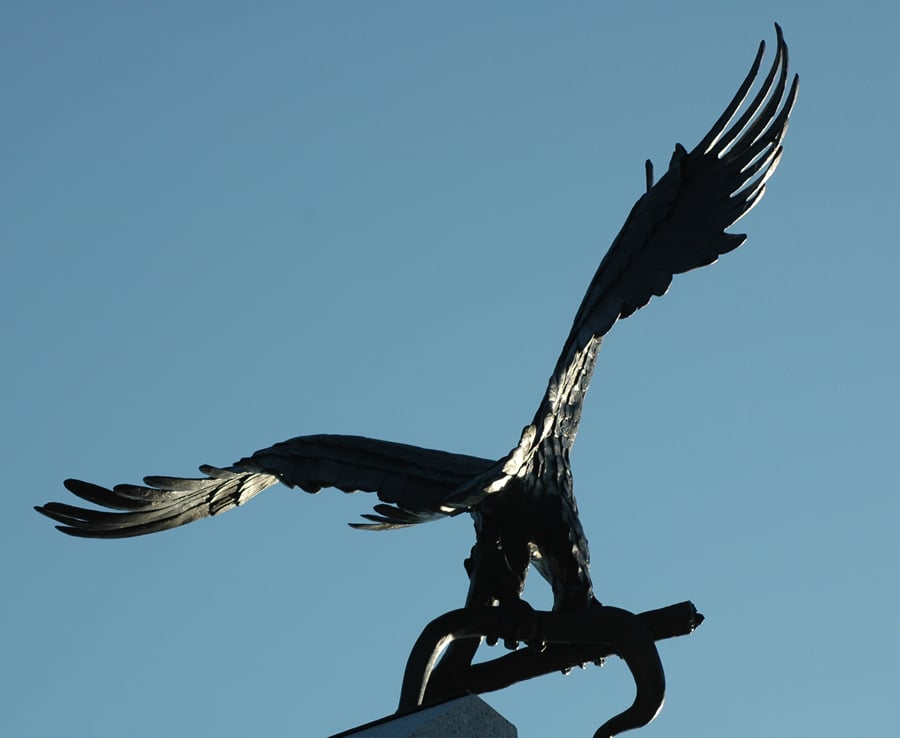 The eagle as seen from the back