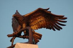Eagle